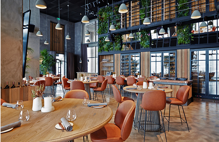 Golden Chairs and Tables Modern Pink Sale Arms High Stools Steel Restaurant Bar Chair